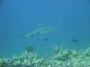 DSC00517.JPG