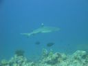 DSC00519.JPG