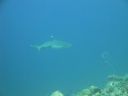 DSC00521.JPG