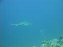 DSC00523.JPG