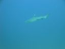 DSC00532.JPG