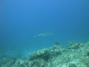 DSC00533.JPG