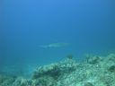 DSC00534.JPG