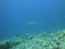 DSC00536.JPG