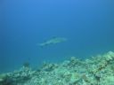 DSC00537.JPG