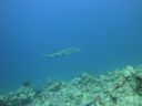 DSC00538.JPG