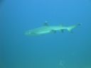 DSC00540.JPG