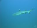 DSC00541.JPG