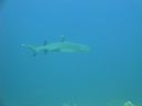 DSC00542.JPG