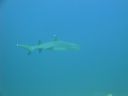 DSC00543.JPG