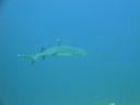 DSC00544.JPG