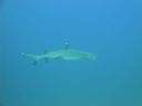 DSC00546.JPG