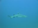 DSC00547.JPG