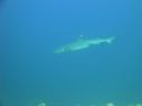 DSC00549.JPG