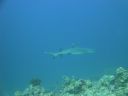 DSC00552.JPG