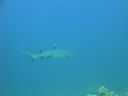DSC00556.JPG