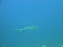 DSC00558.JPG