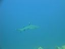 DSC00559.JPG