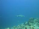 DSC00567.JPG
