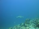 DSC00568.JPG