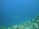 DSC00569.JPG