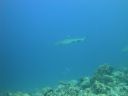 DSC00570.JPG