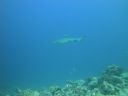 DSC00571.JPG