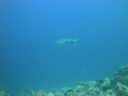 DSC00572.JPG