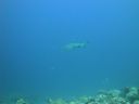 DSC00573.JPG
