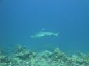 DSC00576.JPG