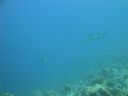 DSC00577.JPG