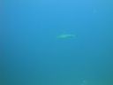 DSC00580.JPG
