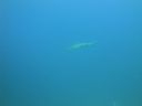 DSC00581.JPG