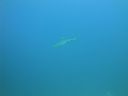 DSC00582.JPG