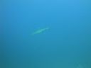 DSC00583.JPG