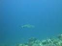 DSC00591.JPG
