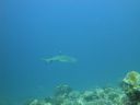 DSC00592.JPG