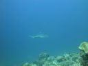 DSC00596.JPG