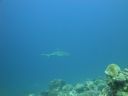 DSC00597.JPG