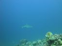 DSC00598.JPG