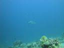 DSC00600.JPG