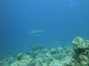 DSC00602.JPG