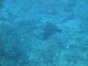 DSC00613.JPG