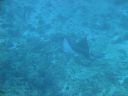 DSC00615.JPG