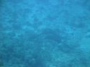 DSC00616.JPG