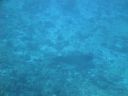 DSC00617.JPG