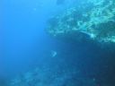 DSC00620.JPG