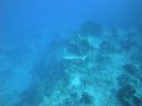 DSC00622.JPG