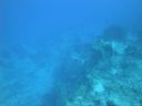 DSC00623.JPG