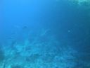 DSC00624.JPG